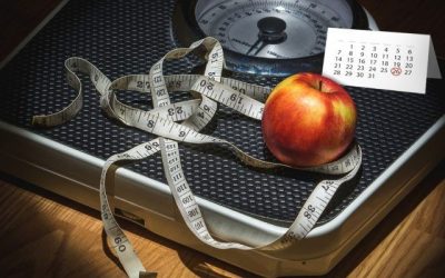 Volusia Weight Management